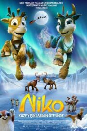 Niko: Kuzey Işıklarının Ötesinde